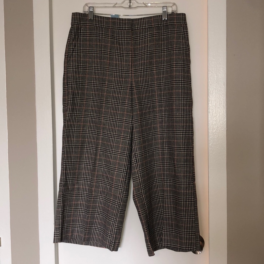 NWT Loft Pants